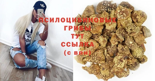 метамфетамин Гусиноозёрск