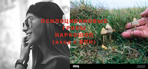 меф Новодвинск