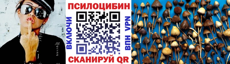 Псилоцибиновые грибы ЛСД  закладки  Игарка 
